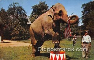 Circus Vintage Postcard Strangest Farm Hudson Centre, NH, USA unused