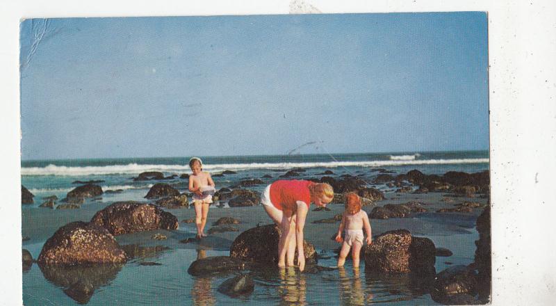 BF29289 time out to gather sea along new hampshire  USA  front/back image