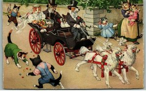 c1910 Bride & Groom Cats Riding in Carriage Pulled by Dogs Anthropomorphic 7-11 
