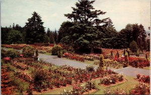 Washington Park Rose Gardens Postcard PC363