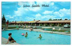 1950s Poolside at the Silver Saddle Motel, Ames, IA Postcard