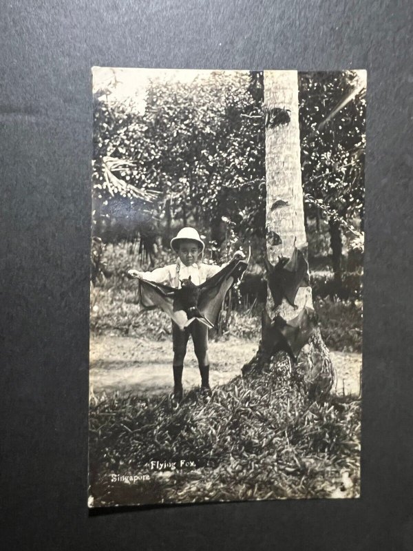 Mint British Singapore Postcard RPPC Child Holding Flying Fox Trees