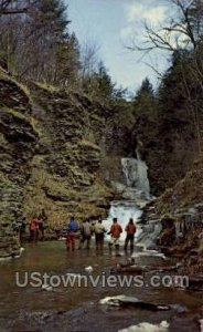 Rainbow Fishing, Finger Lakes - Montour, New York NY  