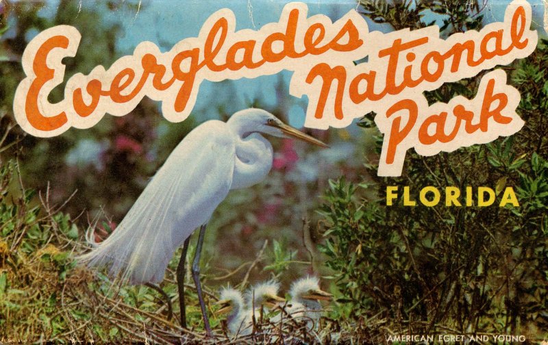 Folder - Everglades National Park, FL          12 views 