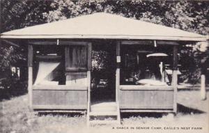 A Shack In Senior Camp Eagles Nest Farm Artvue