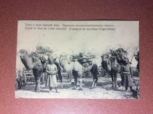 Russian postcard Samarkand - Kiev 1916 Asia Types Uzbekistan agricultural camel
