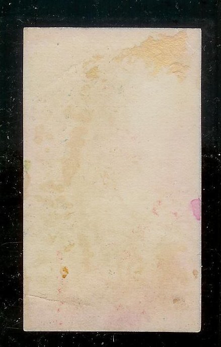 VICTORIAN TRADE CARD Heisels Campaign Gum Profile Levi Morton Stars & Eagle