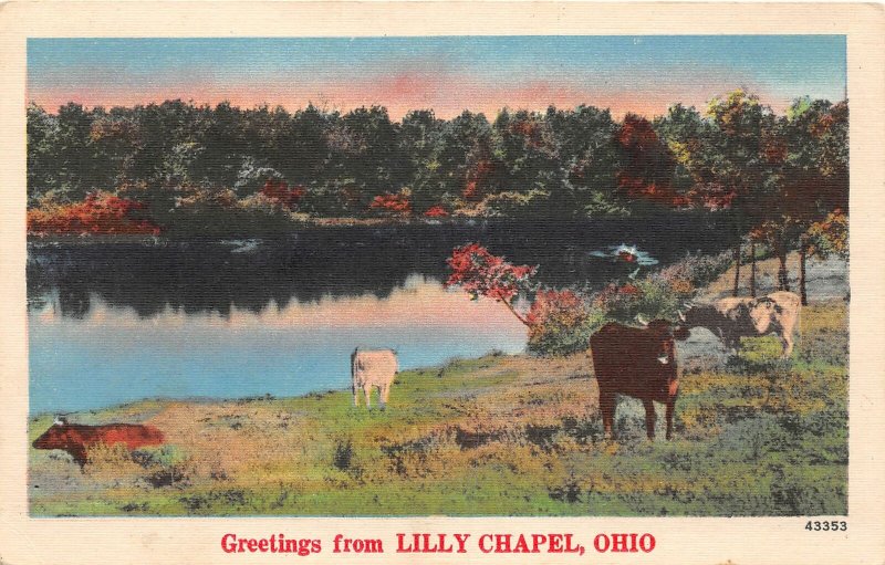 G46/ Lilly Chapel Ohio Postcard Linen Greetings from Lilly Chapel Madison Co