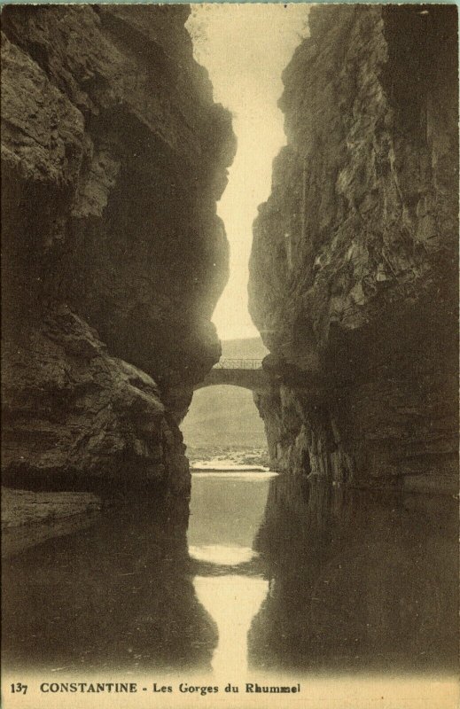 Rummel Rhumel Gorges River Constantine Algeria Postcard William H Hunt Gift