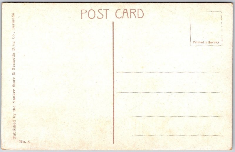 Coral Reefs And Angelfish Bermuda Yankee Store Published Postcard