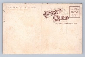 HOTEL DUVAL JACKSONVILLE FLORIDA POSTCARD (c. 1910)