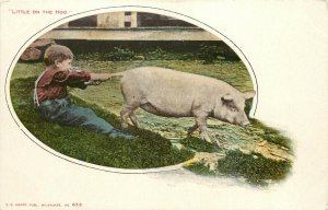 Undiv. Back Postcard; Boy Pulls Pig's Tail Straight 'Little on the Hog' Unposted