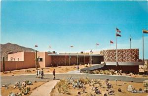 1960s Carefree International Restaurant Arizona Petley postcard 5435