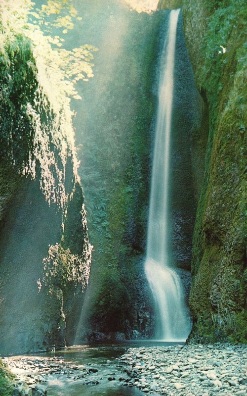 Vintage Postcard Oneonta Falls Waterfalls Columbia River Highway Oregon OR