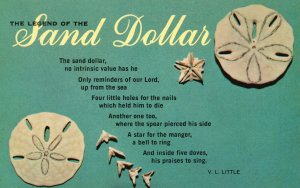 Vintage Postcard The Legend Of The Sand Dollar By V.L. Little 