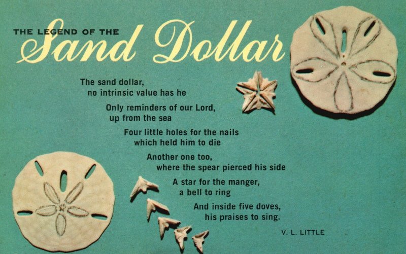 Vintage Postcard The Legend Of The Sand Dollar By V.L. Little 