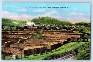 Canton North Carolina NC Postcard Champion Paper And Fiber Company Vintage