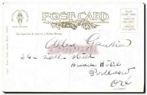 Old Postcard Twin Falls Snake River Idaho