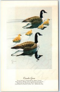 c1950s Betty Carnes Series 4 Canada Goose Water Color Art PC Francis Jaques A231