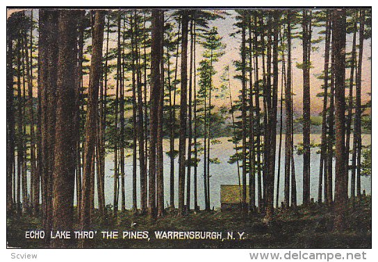Echo Lake thro' The Pines, Warrensburgh, New York, PU-1908