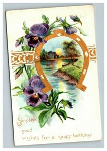 Vintage 1907 Tuck's Birthday Postcard Gold Horseshoe Purple Flowers
