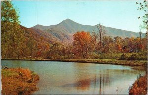 Mount Pisgah Rat Lake View Ranch Western North Carolina NC Mountains Postcard  