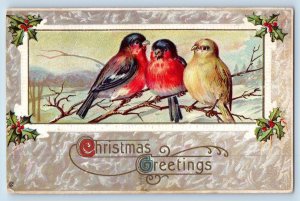 Christmas Postcard Greetings Birds And Holly Berries Winsch Back Altenburg MO