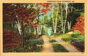 Greetings from Thurmont MD Vintage Scenic Forest Path Linen Postcard