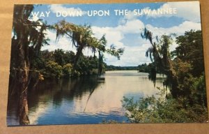 UNUSED POSTCARD - WAY DOWN UPON THE SUWANNEE, FLORIDA