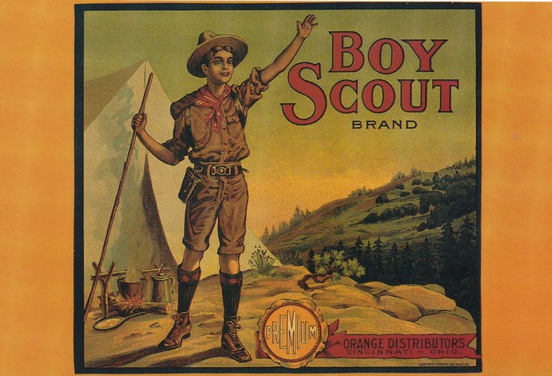 Orange Boy Scout Brand Ohio American Advertising Postcard