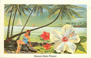 Postcard 1960s Hawaii Hibiscus Pua Aloalo State Flower Capital Engraving 24-6947