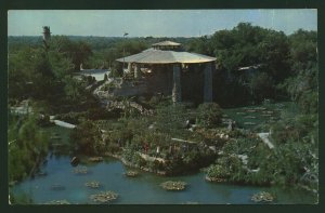 Chinese Tea Garden Brackenridge Park San Antonio Texas GIANT Oversize Postcard