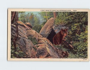 Postcard I Can't Bear To Leave The Adirondack Mountains, New York