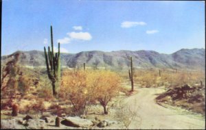 Desert Roadway