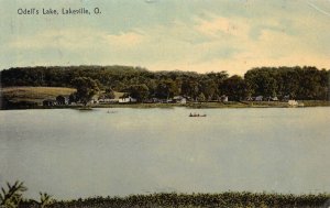 LPS38 LAKEVILLE Ohio Odell's Lake Postcard