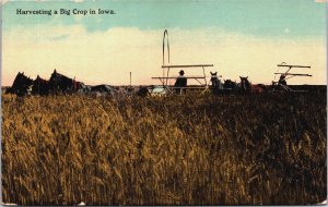 Harvesting a Big Crop In Iowa Vintage Postcard C099