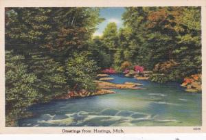 Michigan Greetings From Hastings