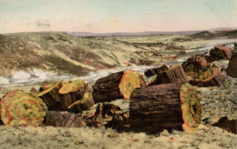 AZ Petrified Forest. *RPO Albuquerque & Ash Fork Railroad United