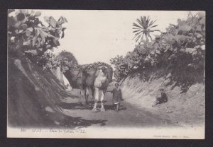 TUNISIA 1911, Vintage postcard, French stamp, used in Algeria, sent to Denmark
