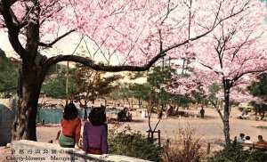 1920s MARUYAMA JAPAN CERRY BLOSSOMS IN PARK POSTCARD P1446