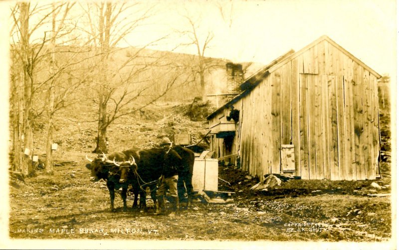 VT - Milton. Making Maple Sugar, 1907.   *RPPC    