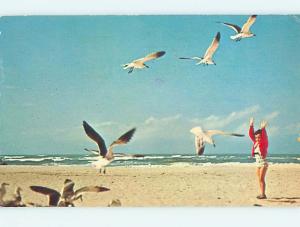 Pre-1980 PLAYING WITH SEAGULL BIRDS AT BEACH Ocala Florida FL M7637