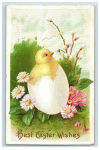 c.1910 Easter Giant Egg Chick Pink Flowers Vintage Postcard F50