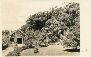 NH - Jackson, The Hatch Home, Carriage House, Horse, Carriage on Thorn Hill R...