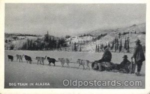 Dog team in Alaska Animal Drawn Unused 