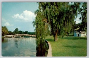 Salisbury Maryland City Park Bridge Pavilion Weeping Willow Tree Postcard E23