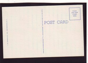 P1555 old unused postcard traffic store signs etc state st. albany new york