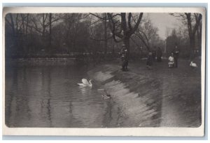 Chicago Illinois IL Postcard RPPC Photo Park View Goose Lake Scene c1910's