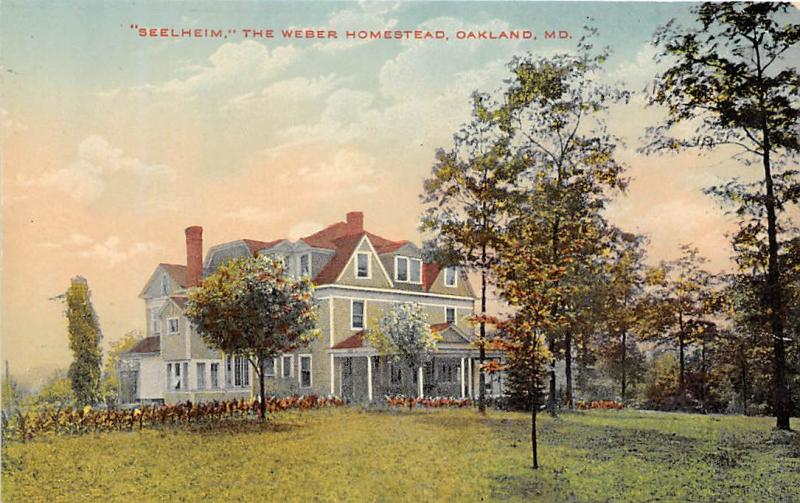 Seelheim Weber Homestead Oakland Maryland 1910c #2 postcard