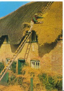 Rural Professions Postcard - Roof Thatching - Ref 17627A